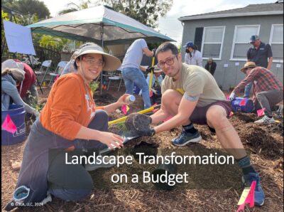 A couple installing plants in a garden