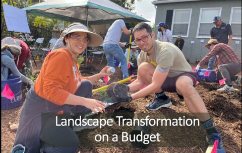 A couple installing plants in a garden