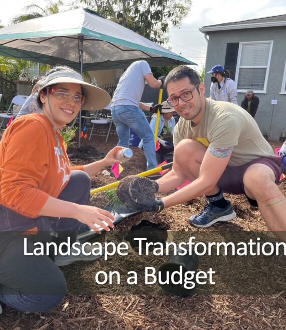 A couple installing plants in a garden