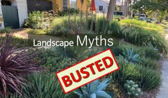 landscape with the words "landscape myths busted"