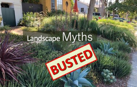 landscape with the words "landscape myths busted"