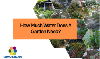 title: How Much Water Does a Garden Need?
