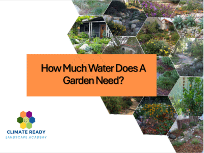 title: How Much Water Does a Garden Need?