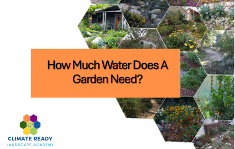 title: How Much Water Does a Garden Need?