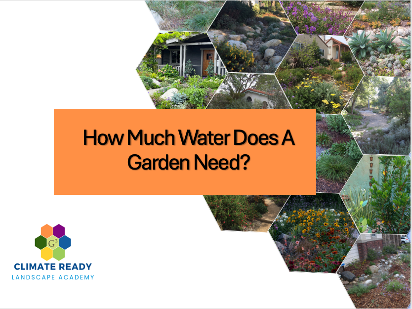 title: How Much Water Does a Garden Need?