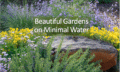 Cover for Beautiful Gardens on Minimal Water