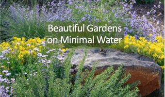 Cover for Beautiful Gardens on Minimal Water
