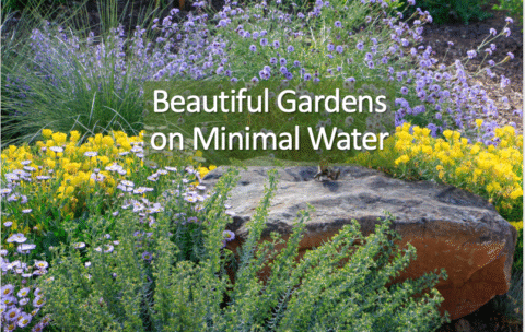 Cover for Beautiful Gardens on Minimal Water