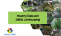 Healthy Soils and Edible Landscaping
