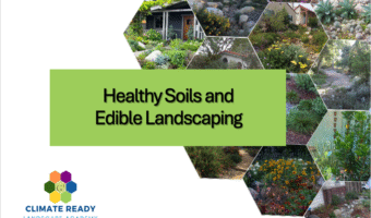 Healthy Soils and Edible Landscaping