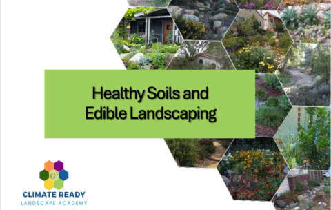 Healthy Soils and Edible Landscaping