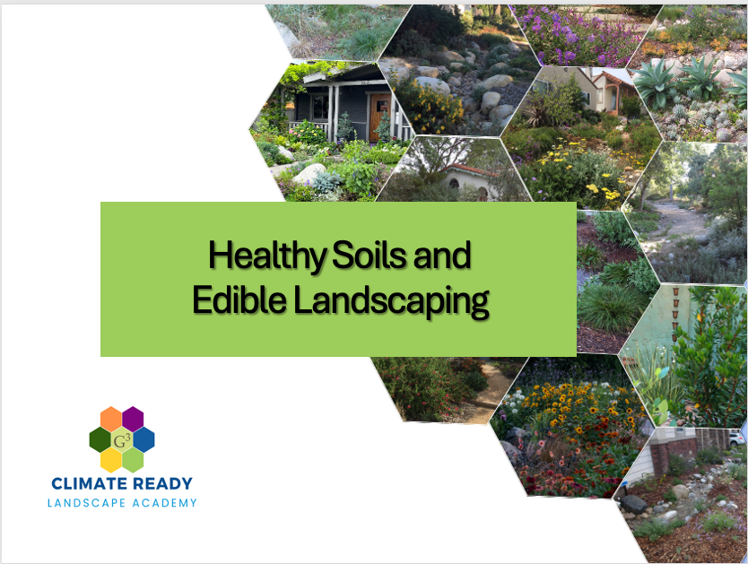 Healthy Soils and Edible Landscaping