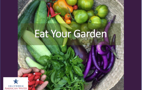 Basketful of vegetables and herbs