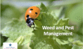 Ladybug on a leaf - cover for Weed and Pest Management Class