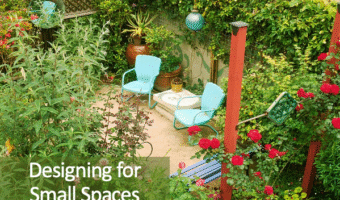 Small courtyard with table and chairs