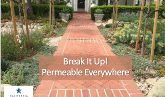 garden with brick walkway