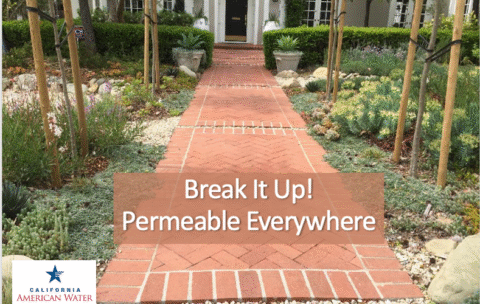 garden with brick walkway