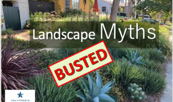 Screenshot 2025-11-25 at 6.08.13 PM