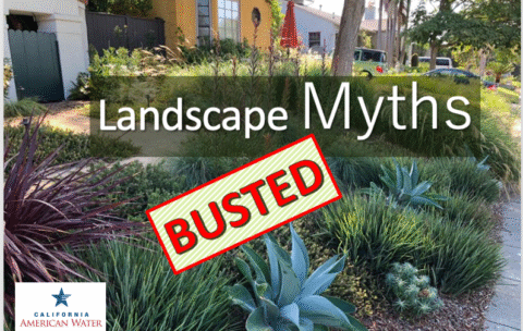 Screenshot 2025-11-25 at 6.08.13 PM