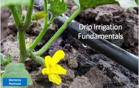 Screenshot 2025-12-16 at 1.48.57 PM