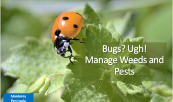 Screenshot 2025-12-16 at 1.51.32 PM