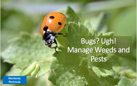 Screenshot 2025-12-16 at 1.51.32 PM