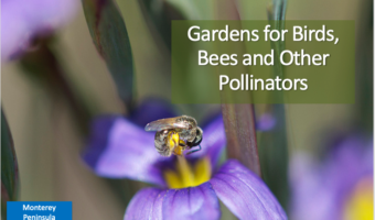 Screenshot 2025-12-16 at 1.51.40 PM