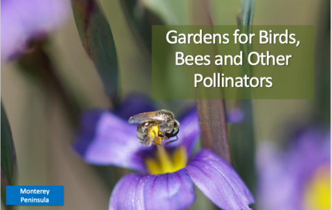 Screenshot 2025-12-16 at 1.51.40 PM