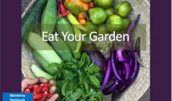 Screenshot 2025-12-16 at 1.51.56 PM