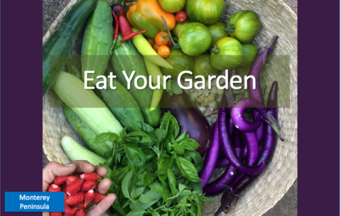 Screenshot 2025-12-16 at 1.51.56 PM