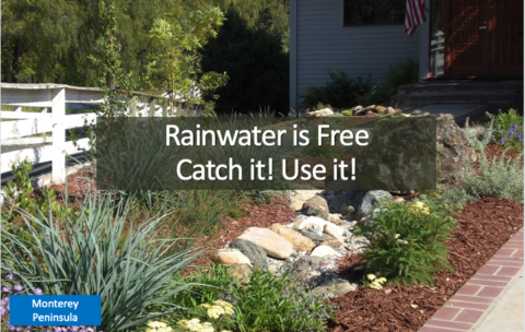 Screenshot 2025-12-16 at 1.52.04 PM