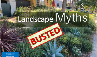 Screenshot 2025-12-16 at 1.52.11 PM