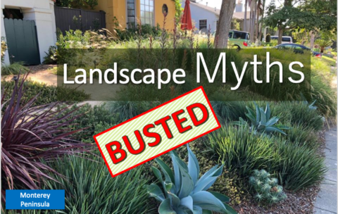 Screenshot 2025-12-16 at 1.52.11 PM