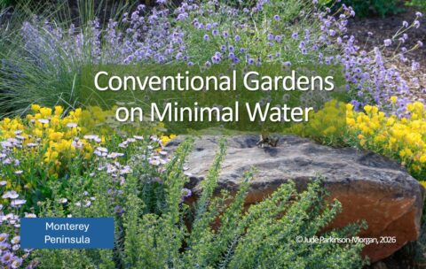 Conventional Gardens_UpdatedWWT Cover3