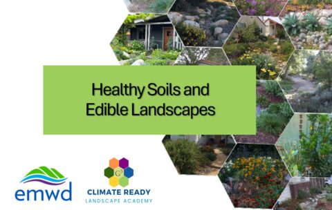 EMWD_HealthySoils_UpdatedImage