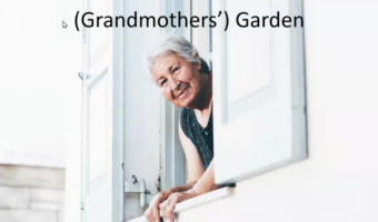 Nonna and Abuelita_Title Slide