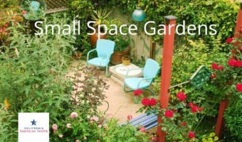 SmallSpaceGardens_CalAm2