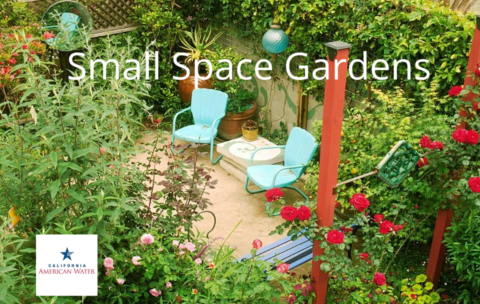 SmallSpaceGardens_CalAm2