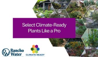 260509_CRLA_Rancho Water_Plants