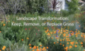 Class Thumbnail_Landscape Transformation_20260521