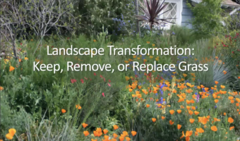 Class Thumbnail_Landscape Transformation_20260521