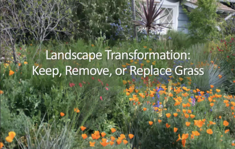 Class Thumbnail_Landscape Transformation_20260521