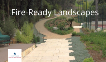 Fire-Ready Landscapes CalAmWater