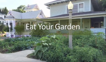 Eat YorGarden Thumb