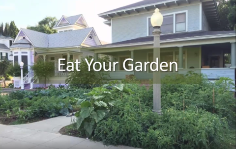 Eat YorGarden Thumb