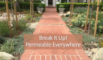 Permeable Everywhere Thumb