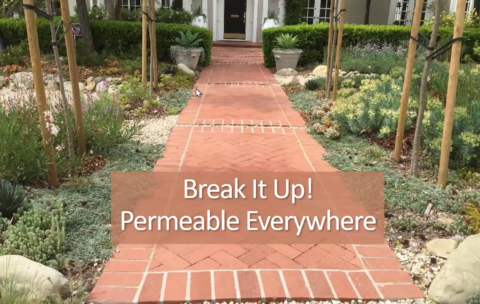 Permeable Everywhere Thumb