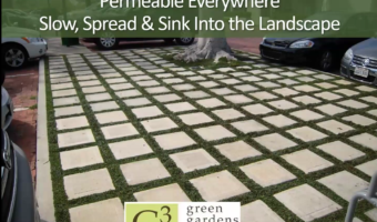Permeable Pro Series Thumb