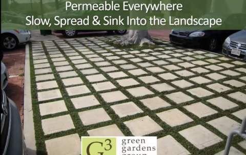 Permeable Pro Series Thumb