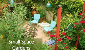 Small Space Gardens_Thumb